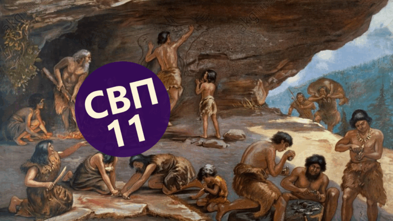 System-Vector-Psychology-11-Professions-of-the-Bottom-Vectors